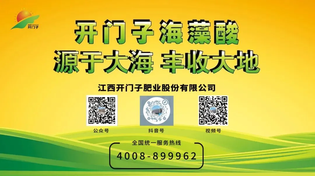 营销精进|深耕业务技能,锻造高效营销铁军