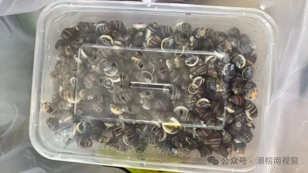 在汕头各市场看到这个,千万别买、别吃!