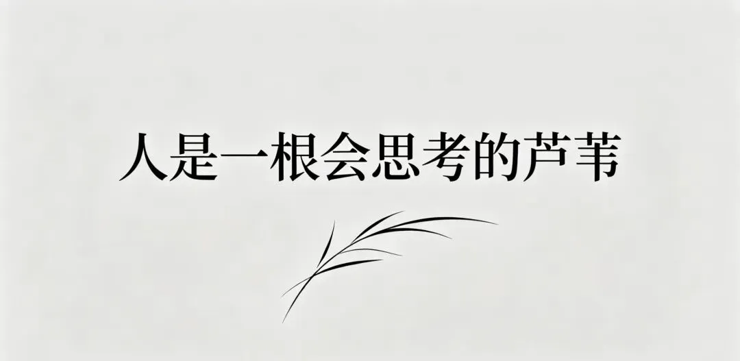 别让营销号,偷走了你独立思考的能力