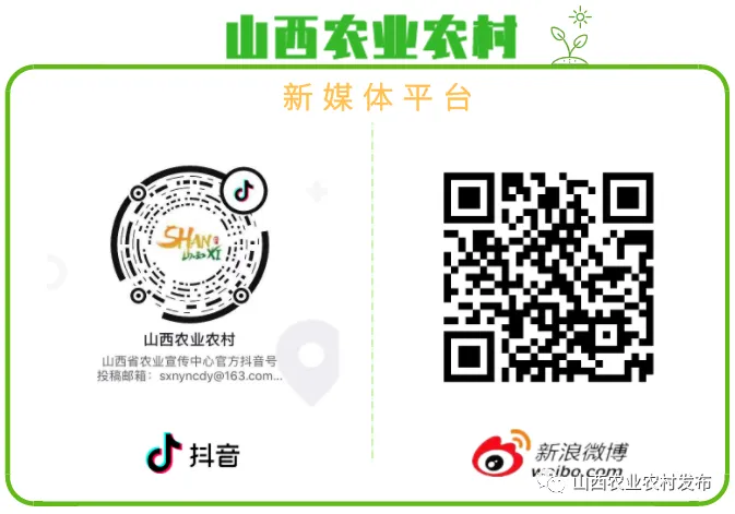 营销战队推动“特”“优”农产品进机关