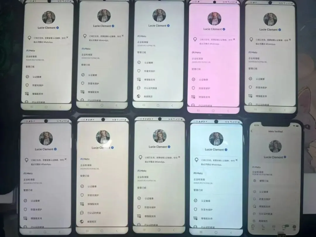 告别封号噩梦!WhatsApp 营销该换这套稳赢打法了