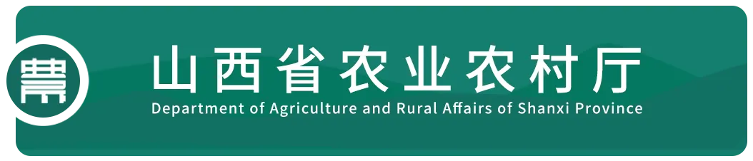 晋城市:营销战队引领红薯认购!一场红薯的私人订制VIP