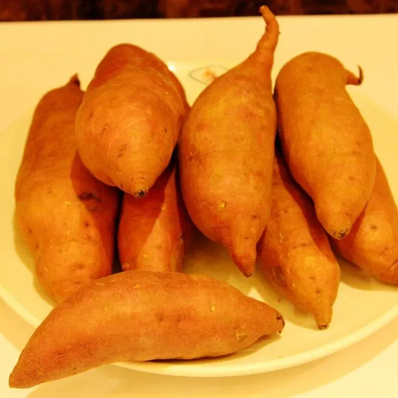 晋城市:营销战队引领红薯认购!一场红薯的私人订制VIP