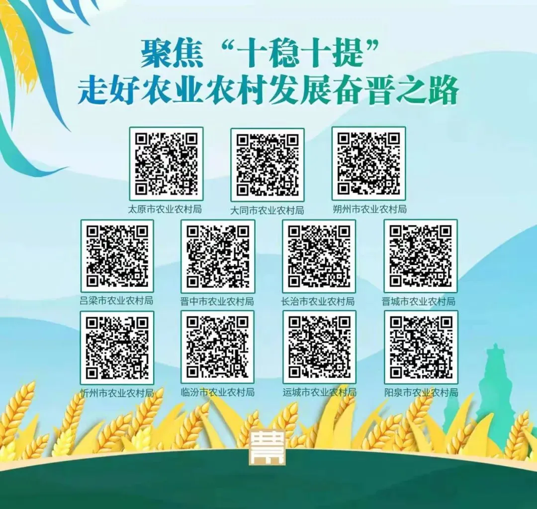 晋城市:营销战队引领红薯认购!一场红薯的私人订制VIP