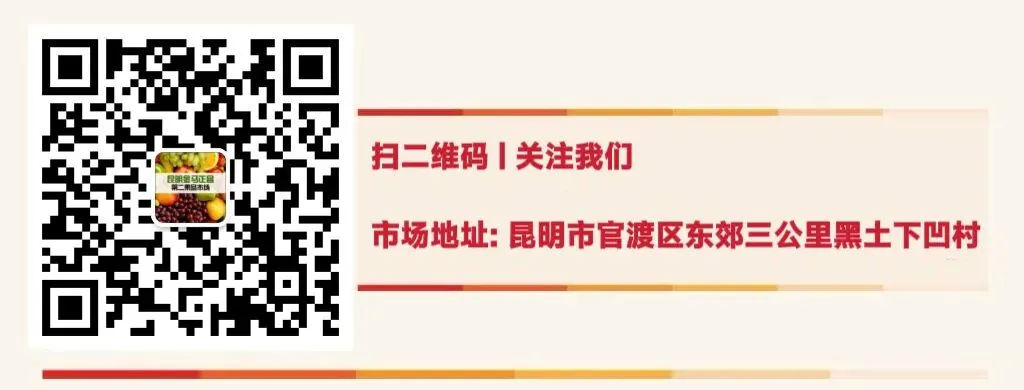 昆明市果品营销商会换届筹备工作领导小组会议顺利召开