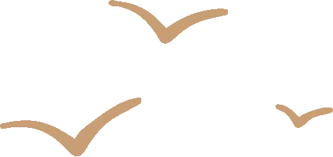 顺德男生 | 91年营销主管,172cm,年入17w+,性格温和稳重,想找34岁以下女生