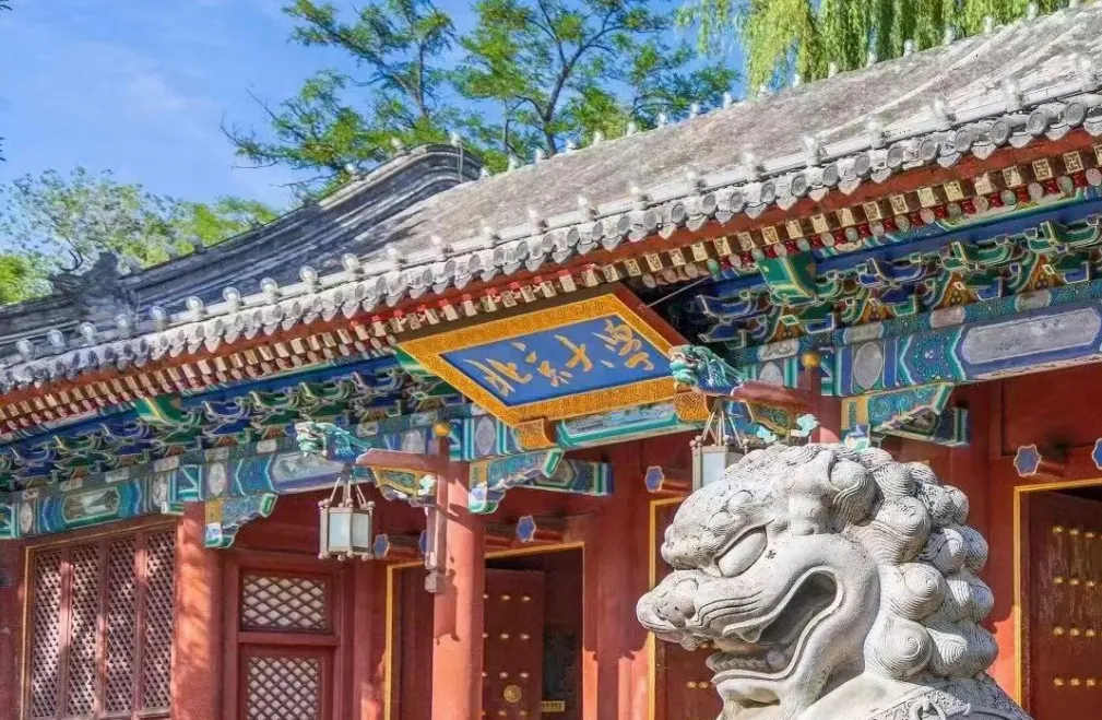 2026 北大首席营销官(CMO )高级研修班 4 月开课!与名师共探企业增长新机遇