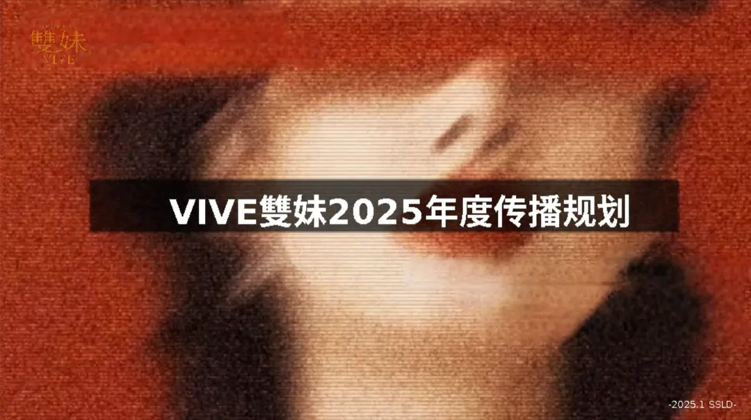 2025【内容营销】VIVE双妹年度内容策略方案
