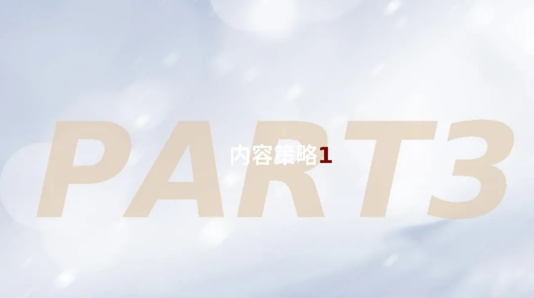 2025【内容营销】VIVE双妹年度内容策略方案