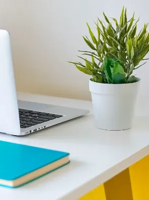 镇远县零工市场暨聚鑫人力4月份县内佛山最新岗位信息