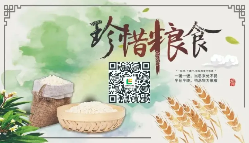 宁波粮油市场商务楼办公室对外招商公告