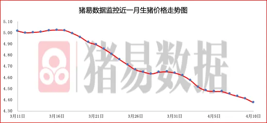 猪价呈现窄幅调整,市场情绪继续偏弱