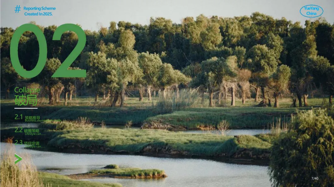 2025【年度策略】君山岛年度营销规划方案