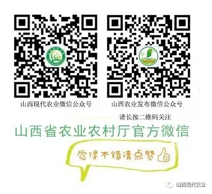 关注|助农销售 促农增收——我省各地千方百计加强农产品产销衔接见闻