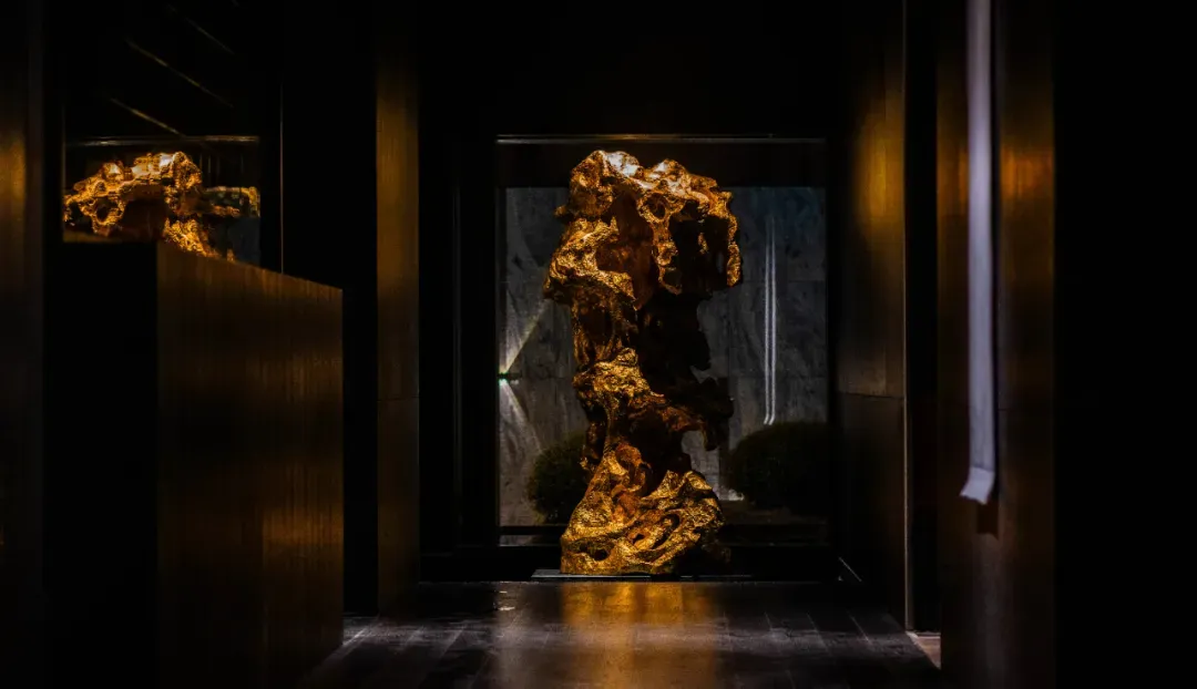 【官方认证】露香园天誉营销中心 24 小时热线 | 预约看房 | 2026 最新房价 + 楼盘全维度测评