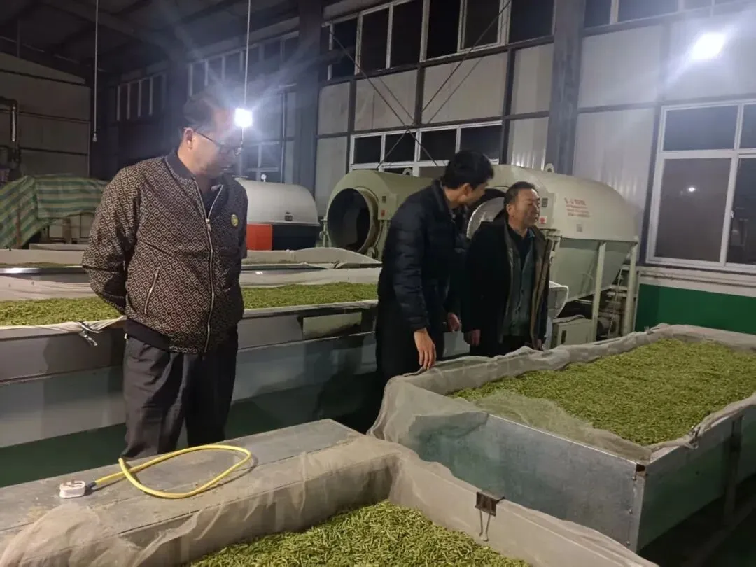 四月春暖花正开 市监护航迎客来——法镇市场监管所开展春季旅游专项整治行动