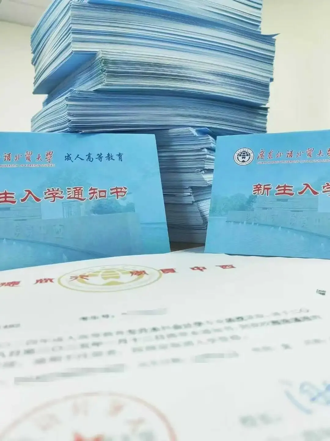 2026年广东外语外贸大学【市场营销】成考招生简章