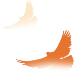 【营销文化】深耕本土优服务 外拓营销促发展