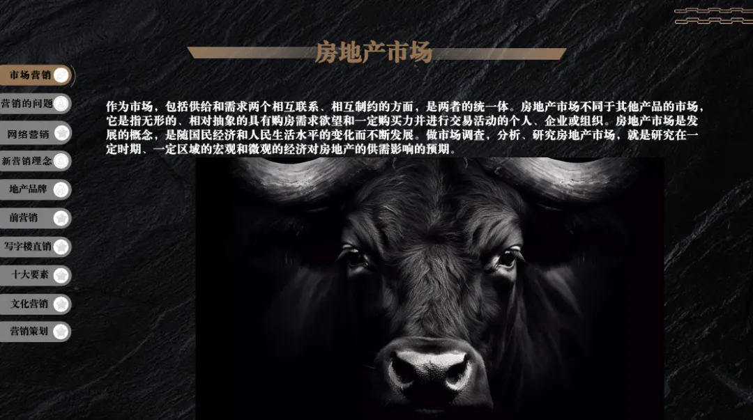 2025房地产项目开盘销售策略与营销方案-71P(可下载完整版)