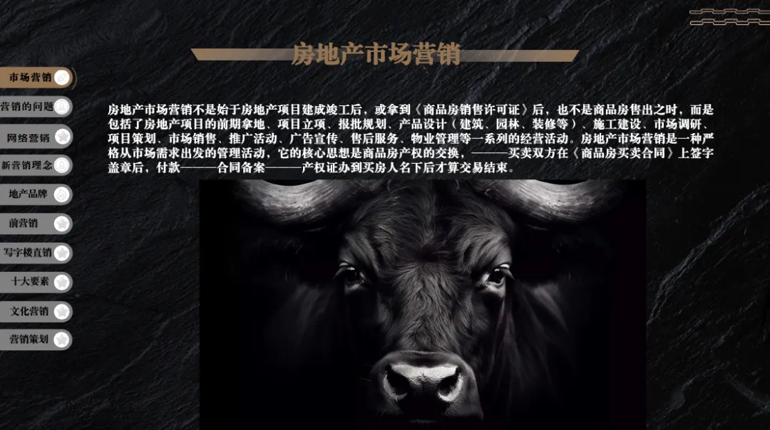 2025房地产项目开盘销售策略与营销方案-71P(可下载完整版)