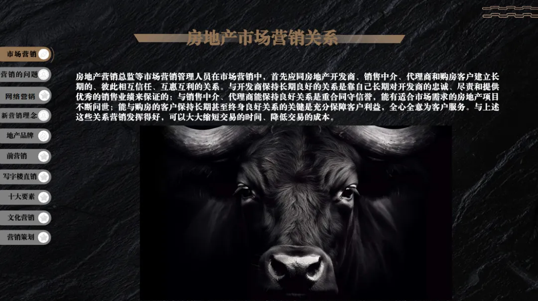 2025房地产项目开盘销售策略与营销方案-71P(可下载完整版)