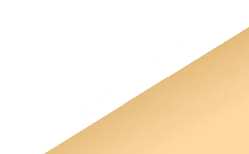 营销突围!园区这场实战分享为企业解锁增长密码