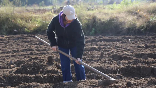 溪口未来乡村|曾庆生态米营销PBL共创营,暑期乡村实战招募!