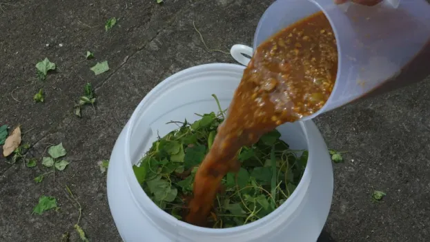 溪口未来乡村|曾庆生态米营销PBL共创营,暑期乡村实战招募!