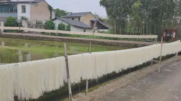 溪口未来乡村|曾庆生态米营销PBL共创营,暑期乡村实战招募!