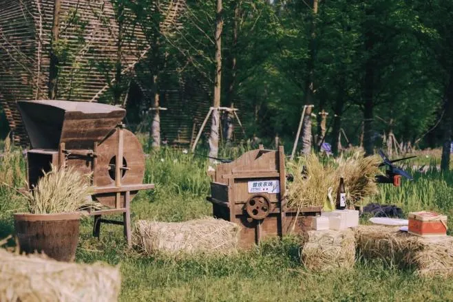 溪口未来乡村|曾庆生态米营销PBL共创营,暑期乡村实战招募!