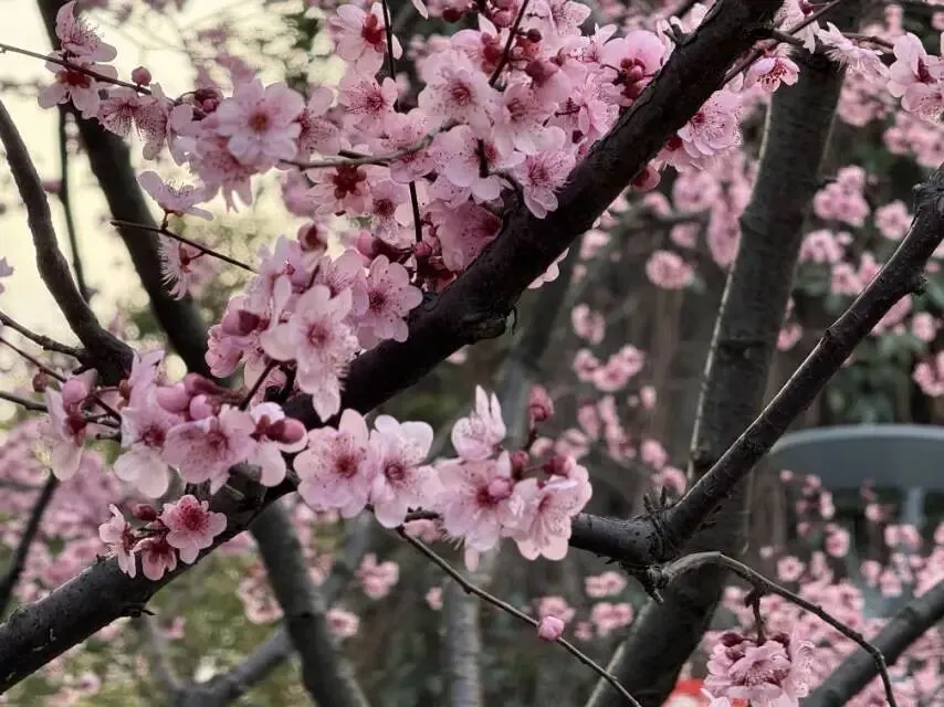 中国品牌建设的全域营销时代