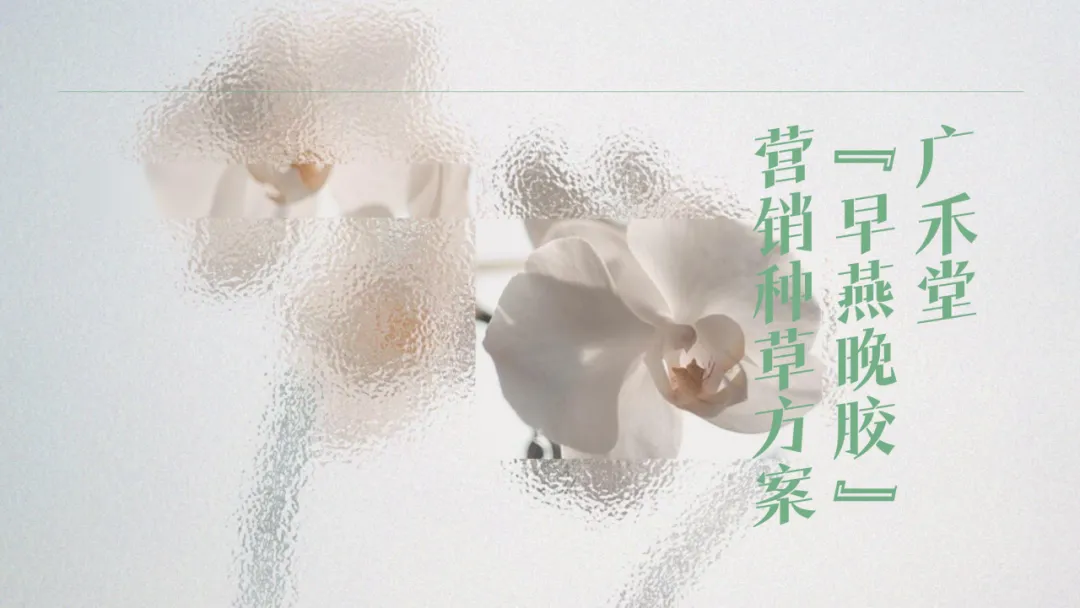 11个品牌线上营销传播种草方案(附下载)