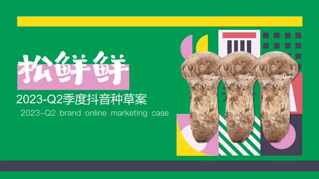 11个品牌线上营销传播种草方案(附下载)