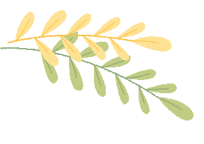 工商管理学院23营销2班(z)开展心理健康主题班会