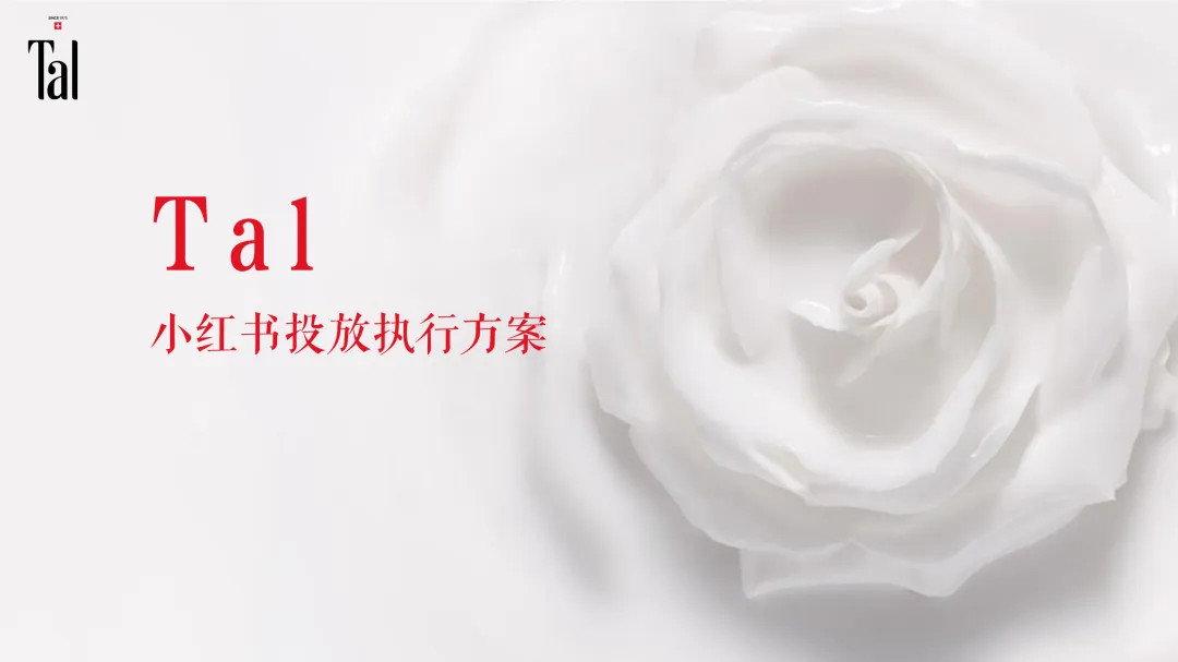 11个品牌线上营销传播种草方案(附下载)