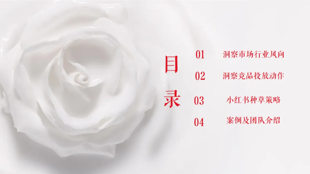 11个品牌线上营销传播种草方案(附下载)