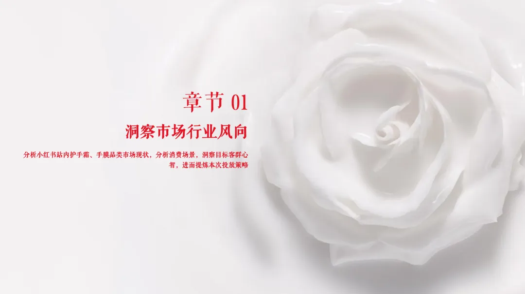 11个品牌线上营销传播种草方案(附下载)