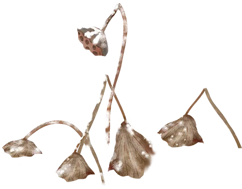 工商学院营销先锋工作室年度总结表彰大会圆满举行