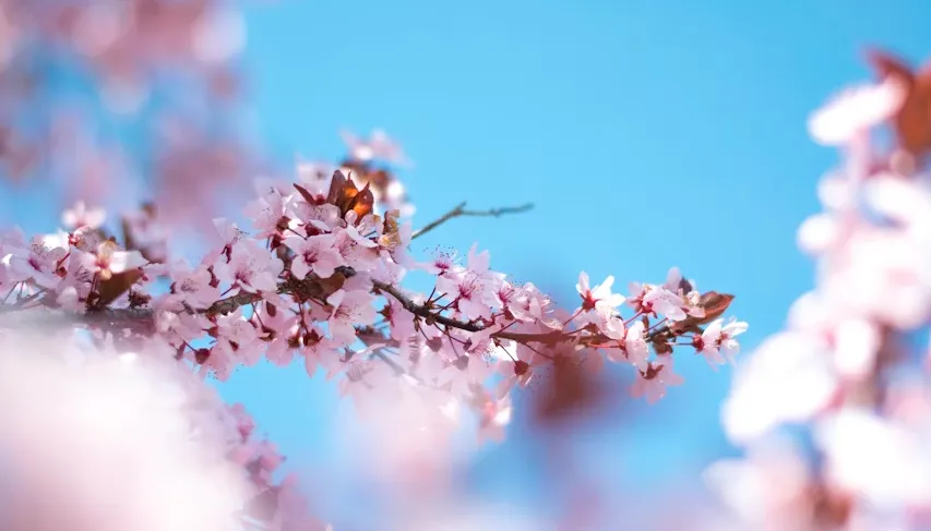 老吉房产营销第126天:如何用豆包抓取配合seedance制作爆款房产视频