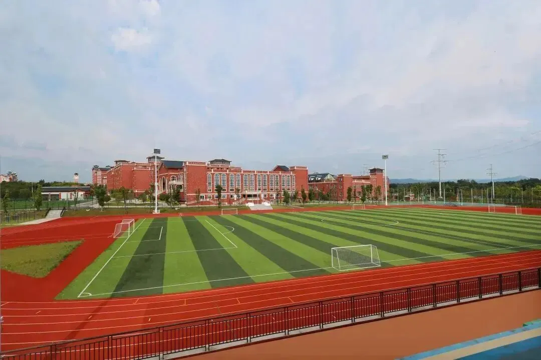 纸巾源头厂家商业计划书及营销方案