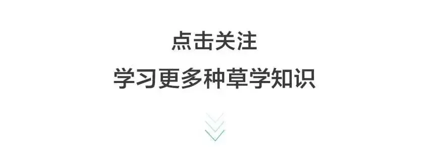 小红书商家-群聊社群营销介绍