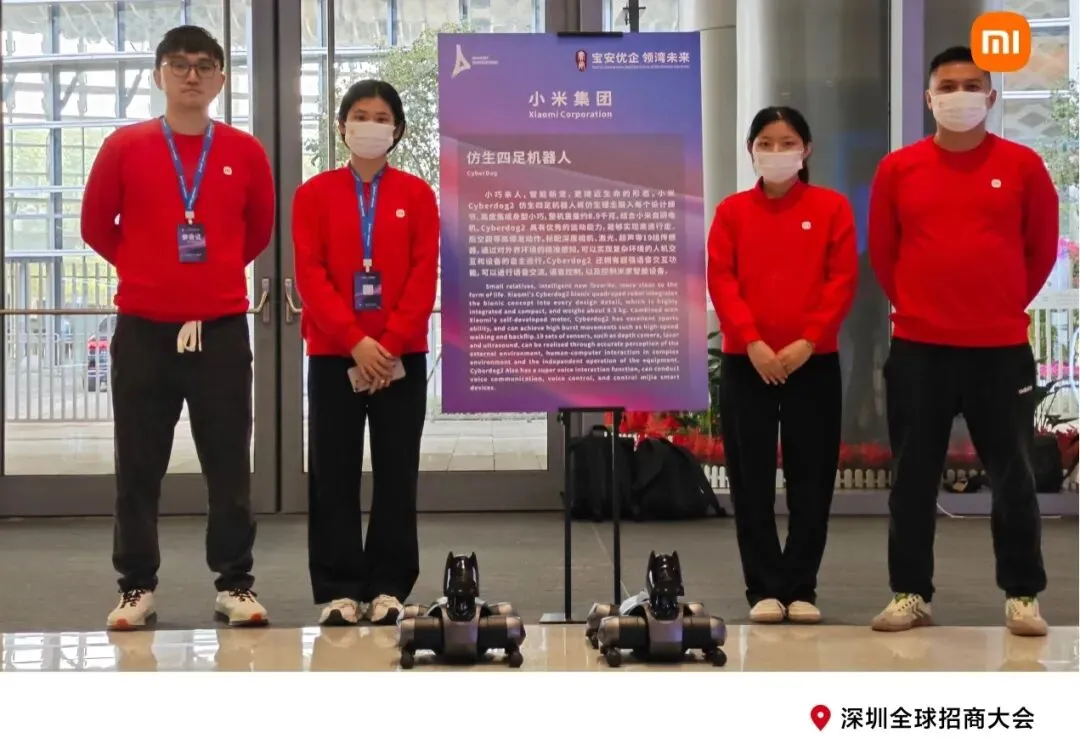 【信息学院】计算机应用技术实习生就业介绍