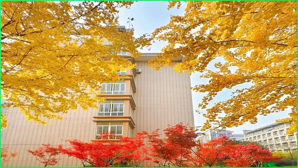 志愿填报时家长容易受到营销号误导