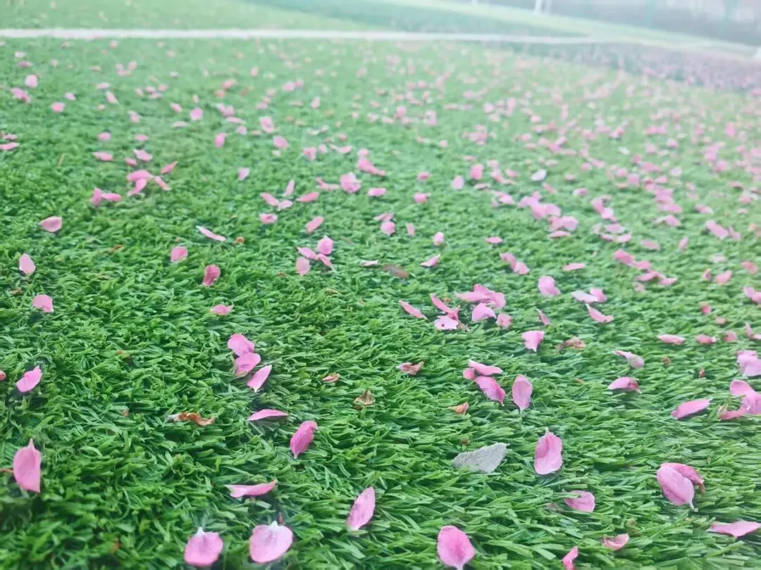 营销造富练功day1