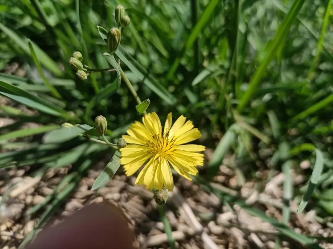 营销造富练功day1