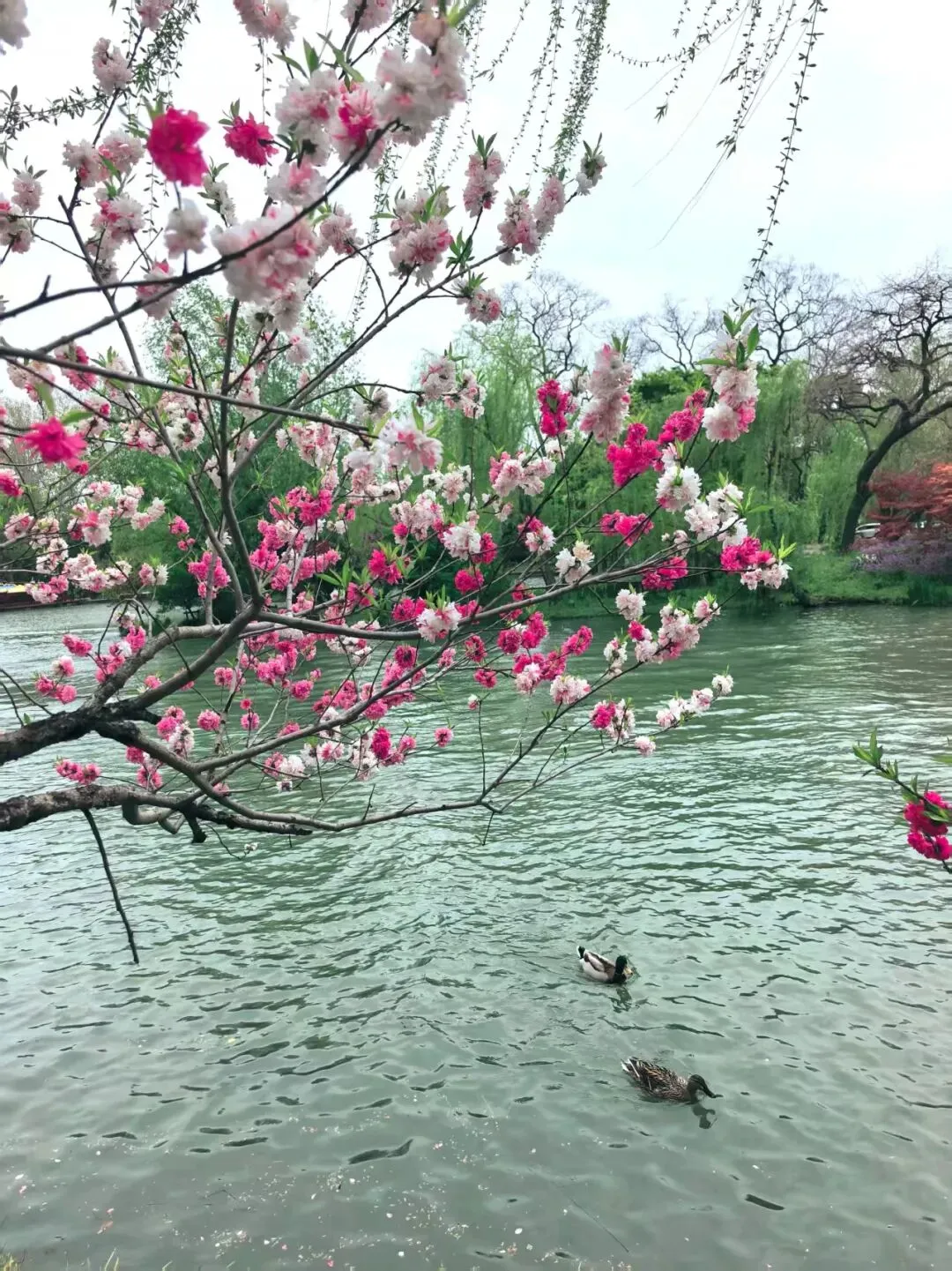 营销造富练功day1