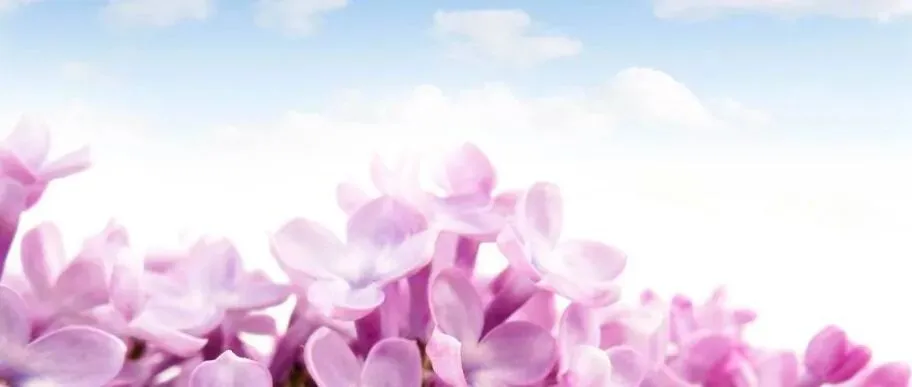 荟云优品:获客难、转化低、管理乱……看云南这家个体户,如何用一个小程序“破局”?