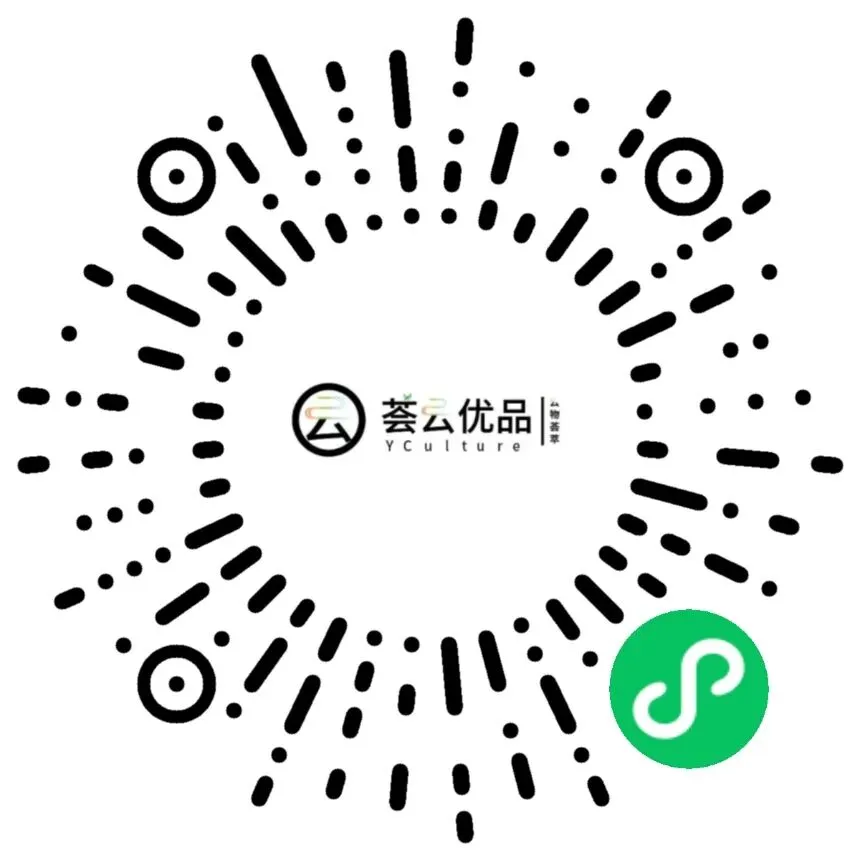 荟云优品:获客难、转化低、管理乱……看云南这家个体户,如何用一个小程序“破局”?