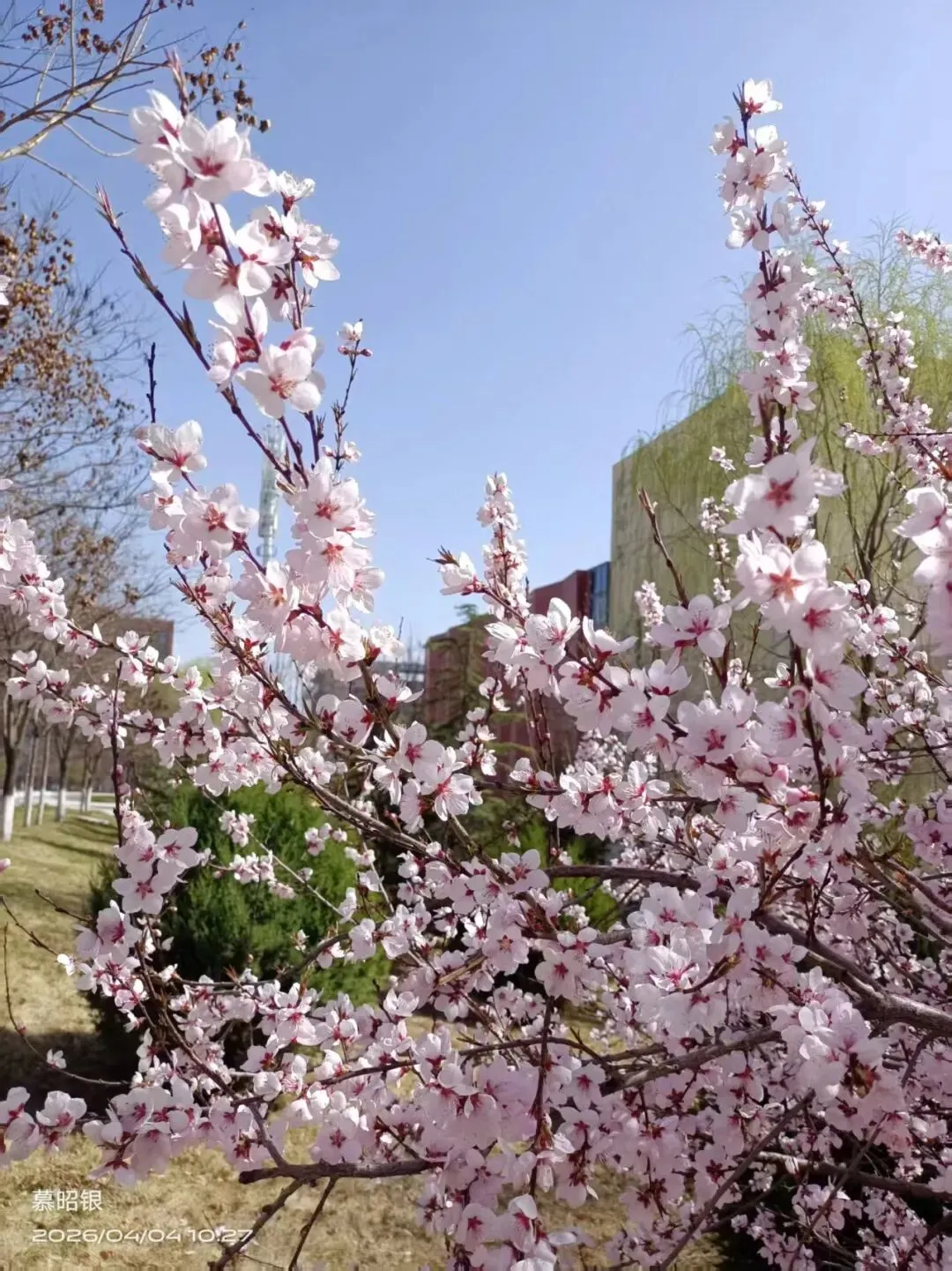 2026年婚恋市场悄悄发生的变化:年轻人择偶,经济条件不再是首选,情绪价值才是