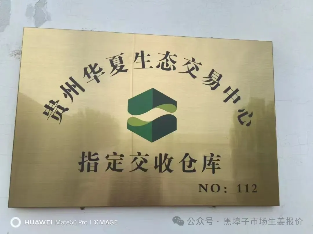 4月11号中午,黑埠子泥姜市场截止11点30市场上12车,价格平稳,耘上免费开户而且给红包